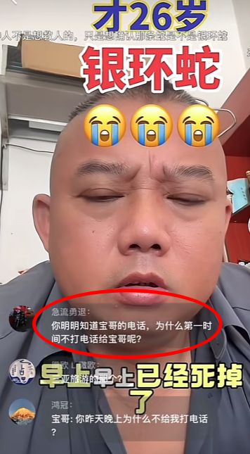 博主两天涨粉200万电话被打爆交给朋友接听凯时尊龙三亚女游客被蛇咬身亡事件带火蛇
