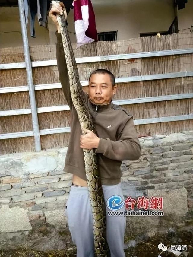 博主两天涨粉200万电话被打爆交给朋友接听凯时尊龙三亚女游客被蛇咬身亡事件带火蛇类(图7)